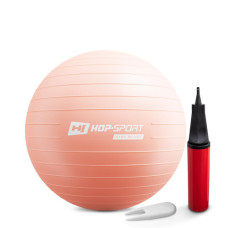 Фітбол Hop-Sport 55cm HS-R055YB light pink + насос